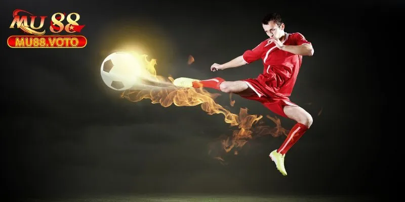 Cách Đặt Cược SBO Sports Hiệu Quả 