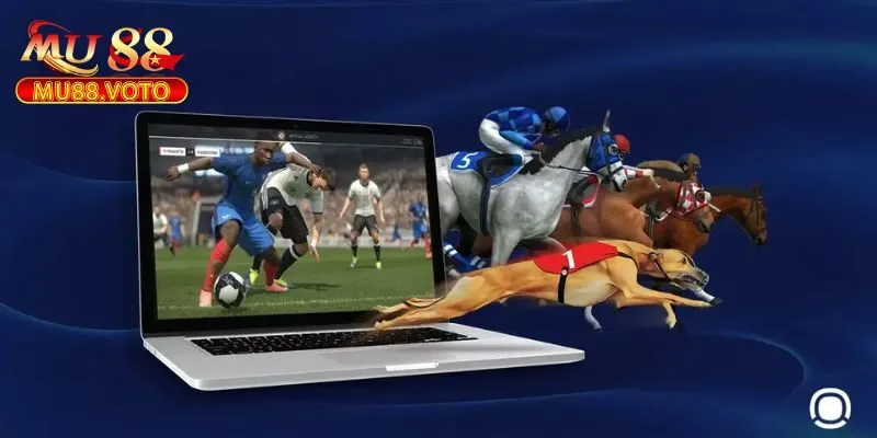 Lý do nên chọn MU88 để chơi Thể thao ảo